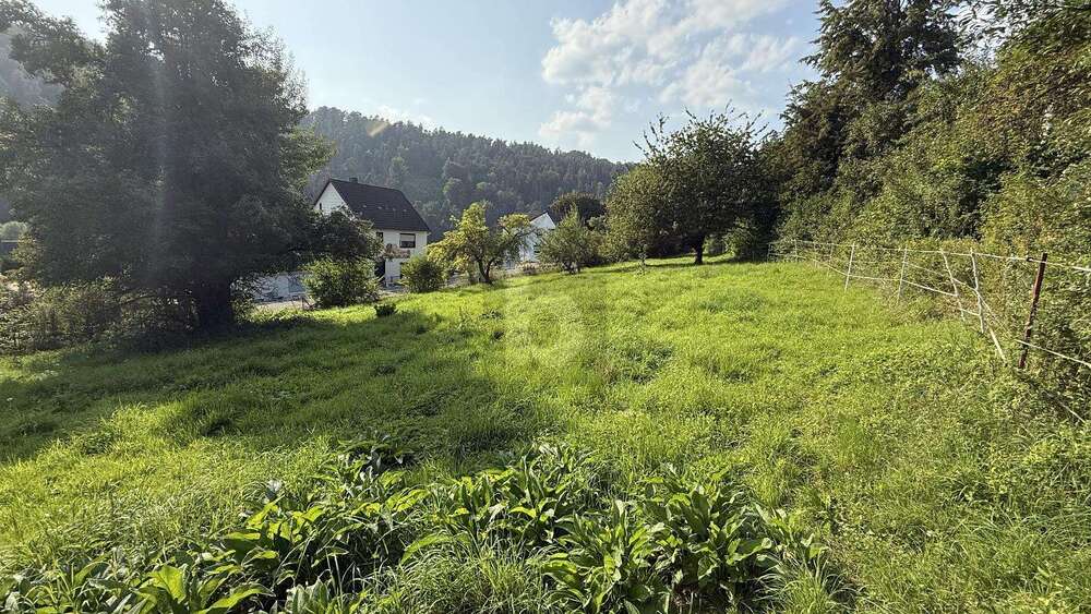 Thumbnail-Grundstück zu verkaufen in Staufenberg 100.000,00 € 2035 m²