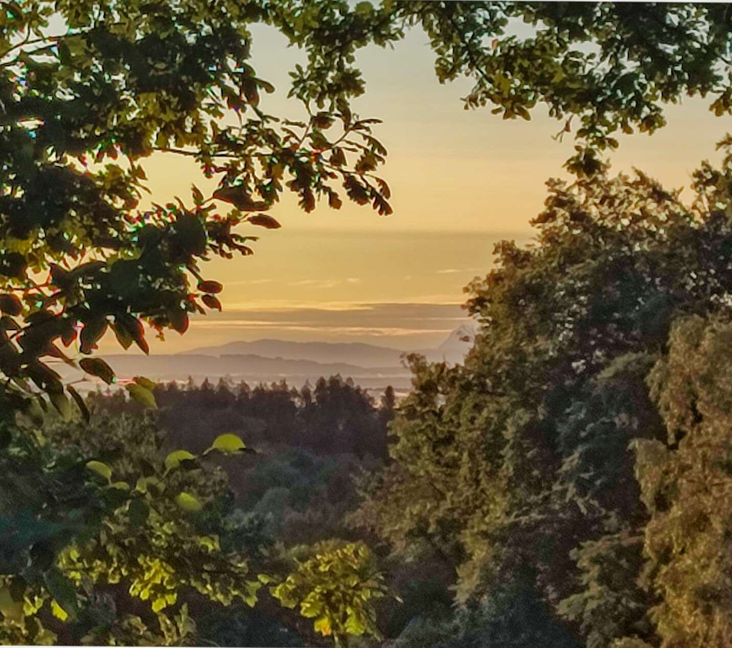 Thumbnail-Haus zum Kaufen in Feldkirchen-Westerham Kleinhöhenrain 949.000,00 € 171 m²