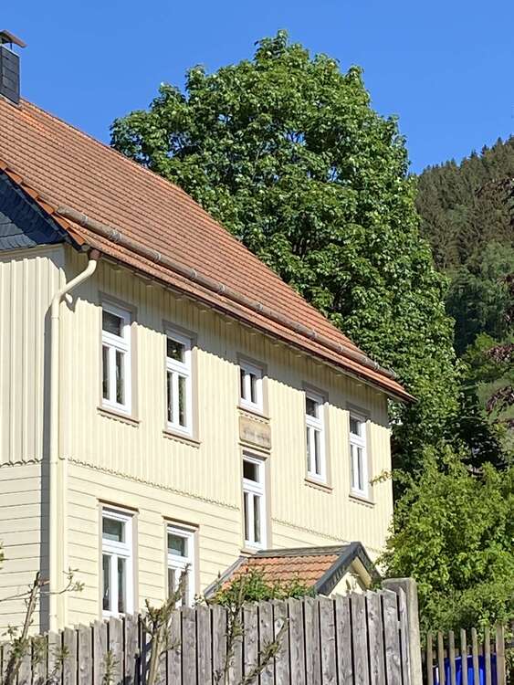 Thumbnail-Haus zum Kaufen in Lautenthal 315.000,00 € 247 m²