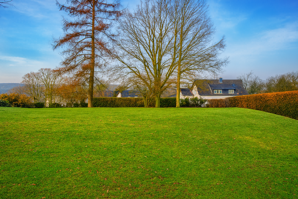 Thumbnail-Grundstück zu verkaufen in Odenthal 1.420.000,00 € 4720 m²