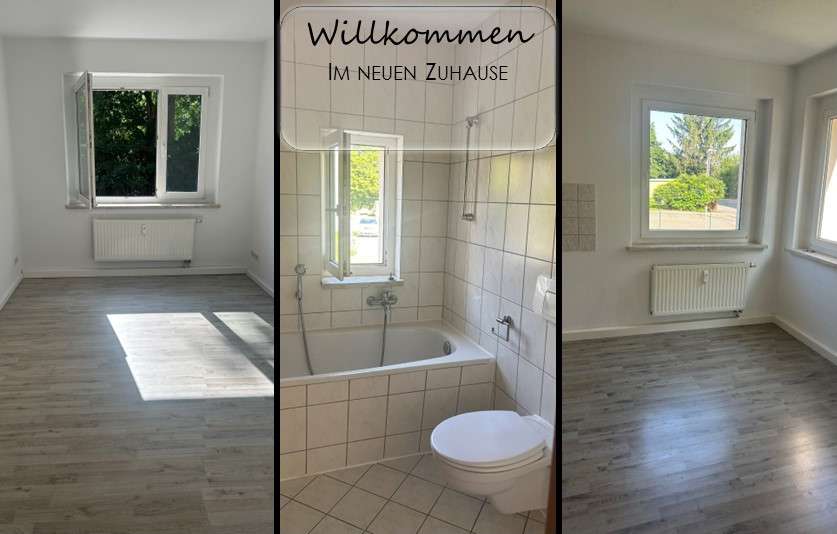 Thumbnail-Wohnung zum Mieten in Zwickau 270,00 € 45.04 m²