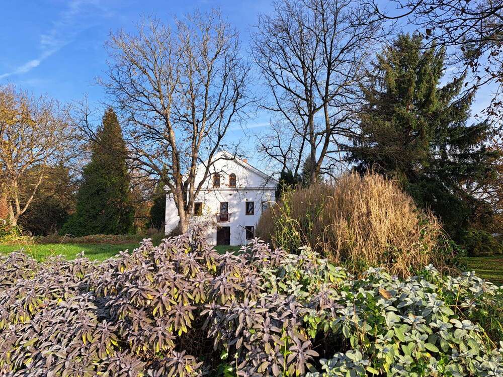 Thumbnail-Haus zum Kaufen in Zeilarn 699.000,00 € 344 m²