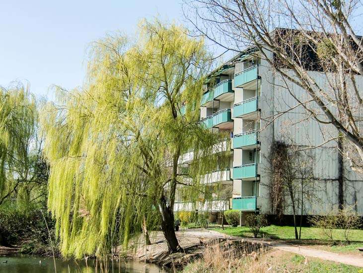 Thumbnail-Wohnung zum Mieten in Prenzlau 435,00 € 64.63 m²