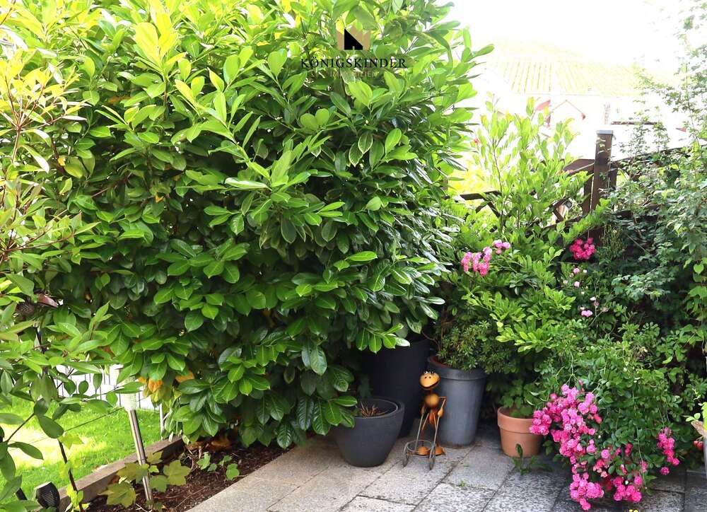 Thumbnail-Haus zum Kaufen in Weinstadt 450.000,00 € 116 m²