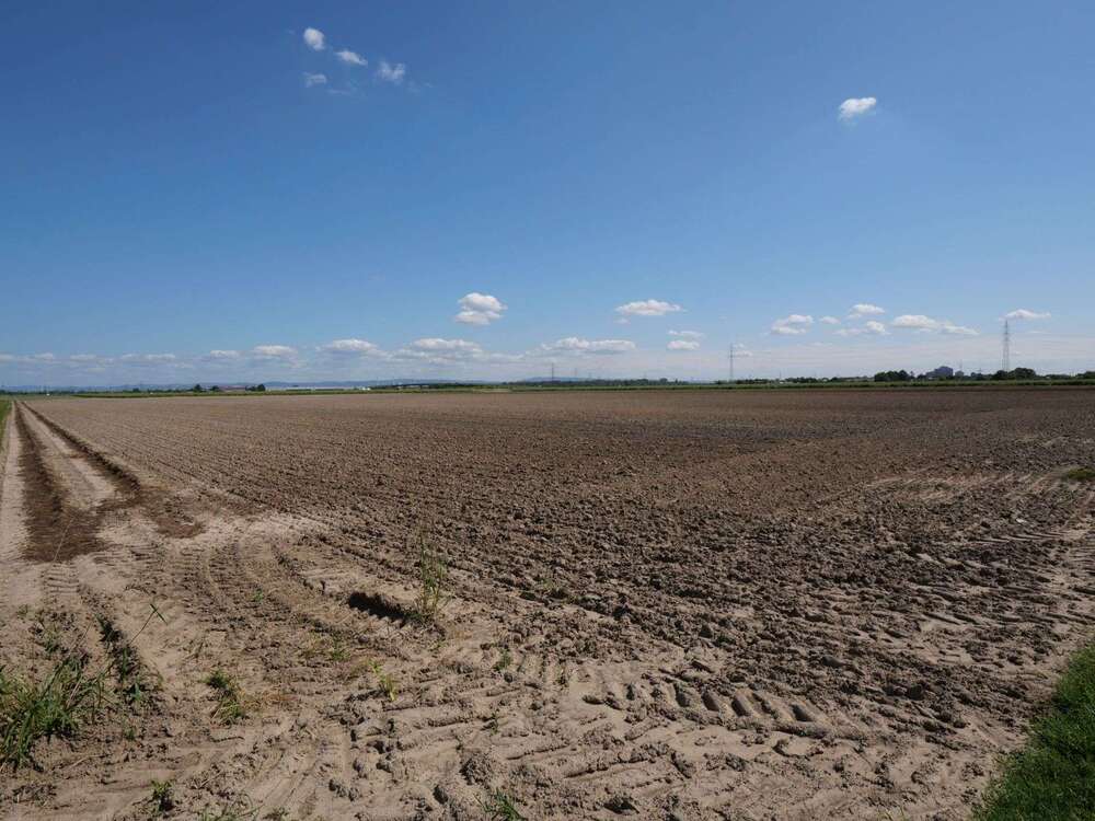 Thumbnail-Grundstück in Mutterstadt 104.000,00 € 7950 m²