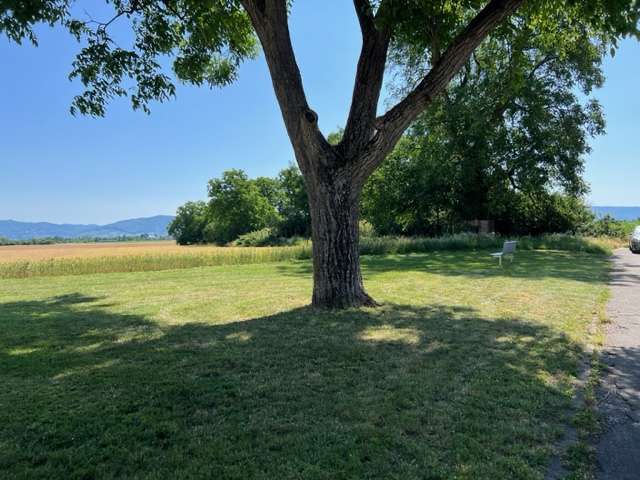 Thumbnail-Haus zum Kaufen in Edingen-Neckarhausen 659.000,00 € 255 m²