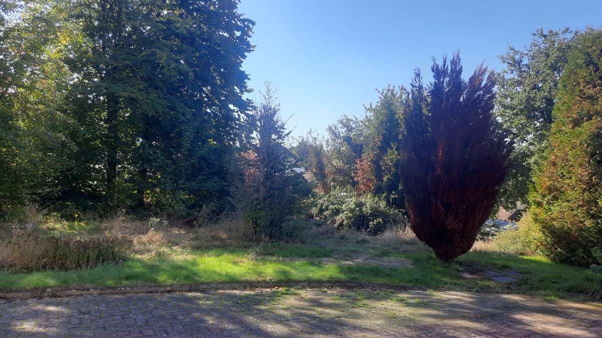 Thumbnail-Grundstück zu verkaufen in Waldbröl 99.000,00 € 882 m²