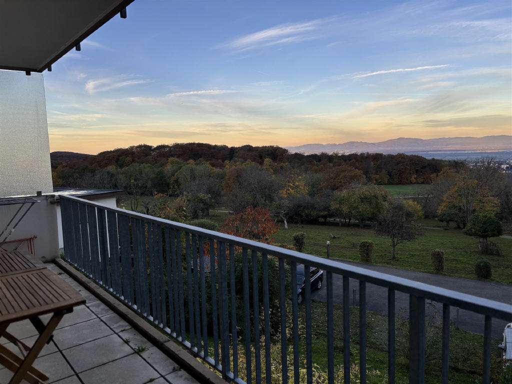 Thumbnail-Wohnung zum Kaufen in Badenweiler 290.000,00 € 58.07 m²