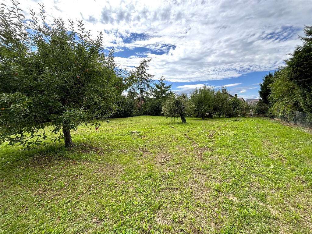 Thumbnail-Grundstück zu verkaufen in Müllheim 420.000,00 € 975 m²