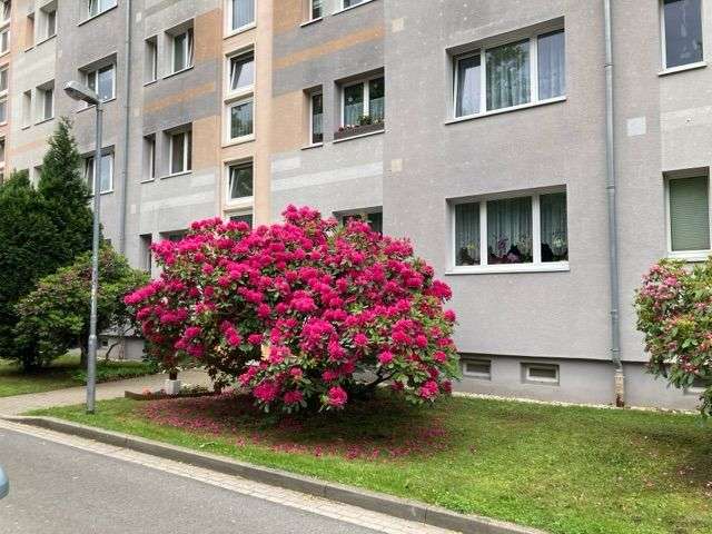 Thumbnail-Wohnung zum Mieten in Hermsdorf 350,00 € 59.35 m²