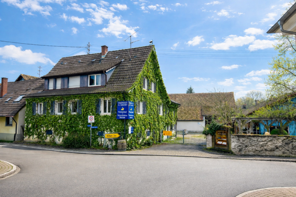 Thumbnail-Haus zum Kaufen in Zunzingen 1.400.000,00 € 372 m²