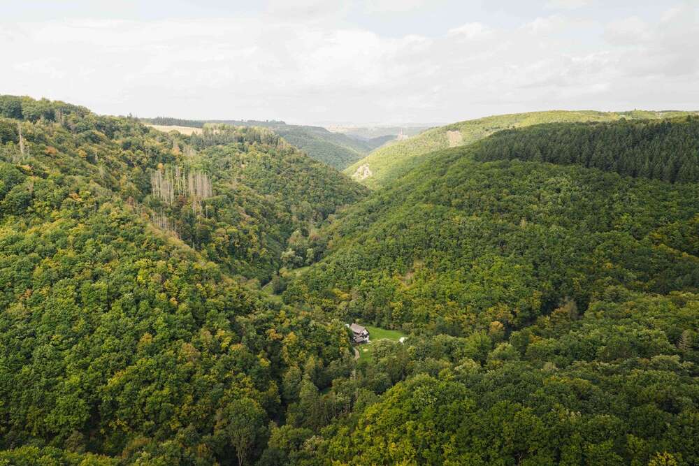 Thumbnail-Haus zum Kaufen in Beulich 549.000,00 € 210 m²