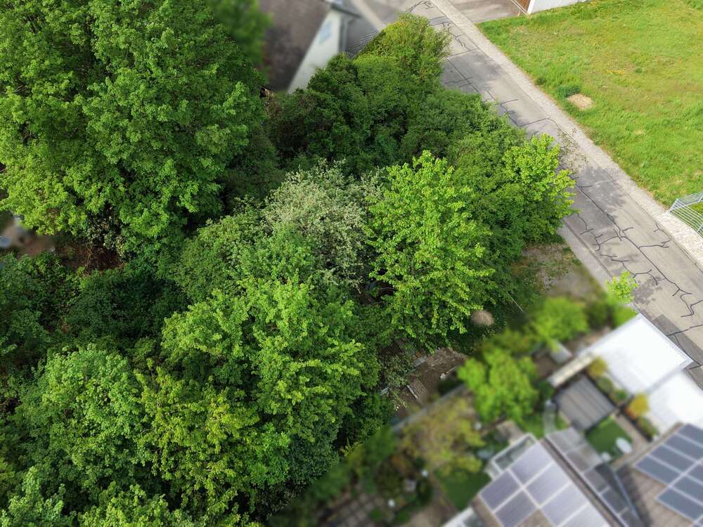 Thumbnail-Grundstück zu verkaufen in Helmstadt-Bargen 93.000,00 € 580 m²