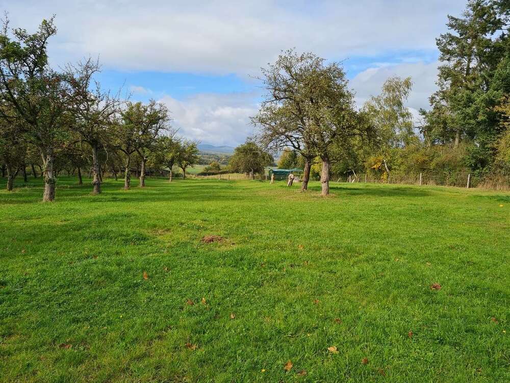 Thumbnail-Grundstück zu verkaufen in Wetter (Hessen) 95.000,00 € 11279 m²