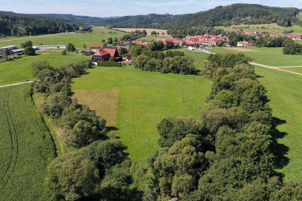 Thumbnail-Haus zum Kaufen in Schleusingen Rappelsdorf 998.000,00 € 276 m²
