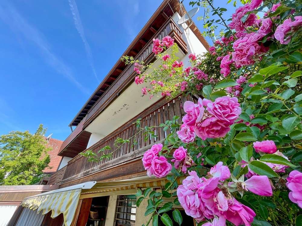 Thumbnail-Haus zum Kaufen in Schwabhausen 530.000,00 € 113.61 m²