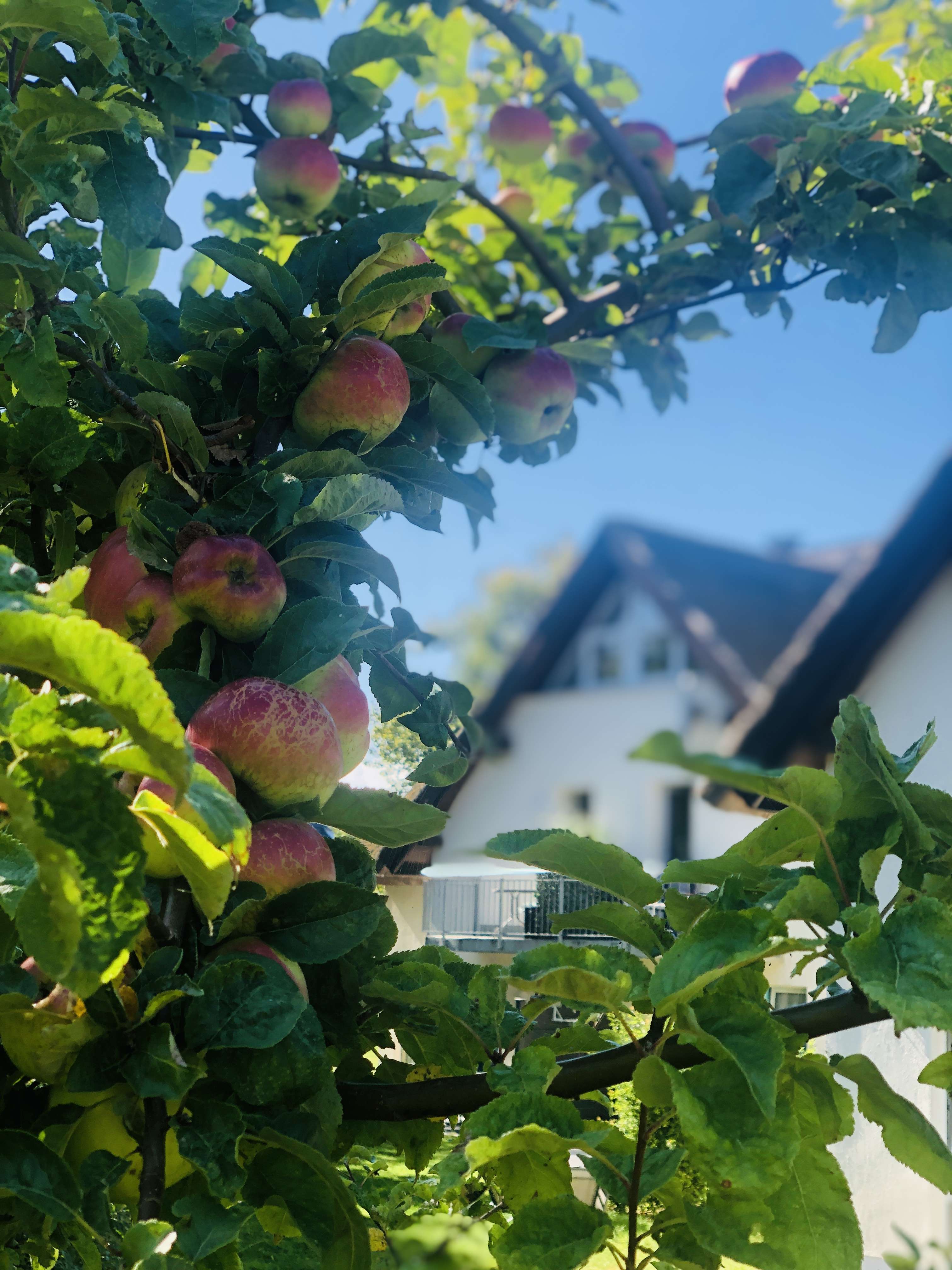 Thumbnail-Wohnung zum Kaufen in Lobbe 59.000,00 € 29 m²