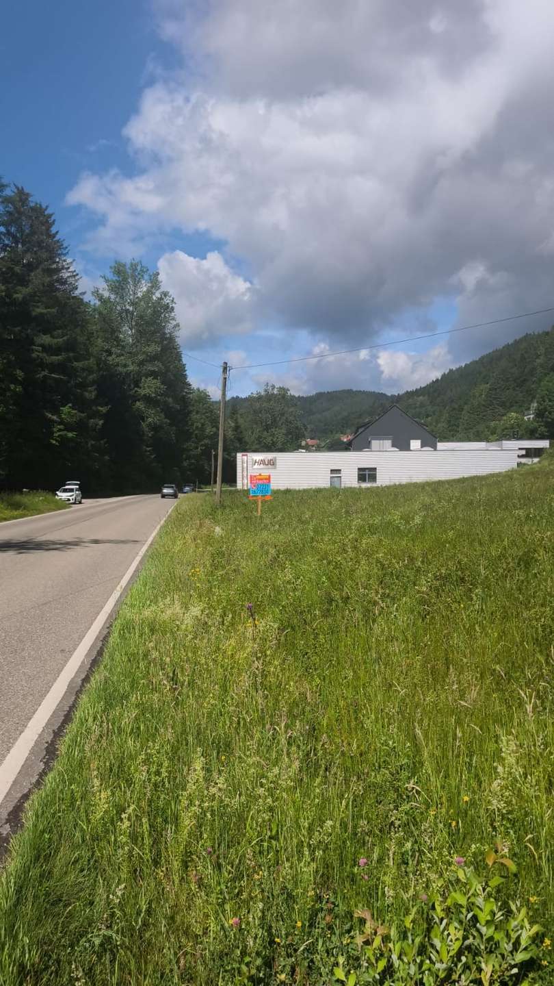 Thumbnail-Grundstück in Alpirsbach 250.000,00 € 10858 m²