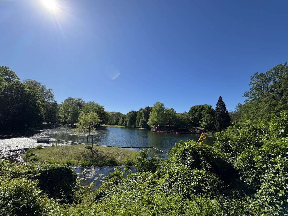 Thumbnail-Wohnung zum Kaufen in Köln 595.000,00 € 83.36 m²