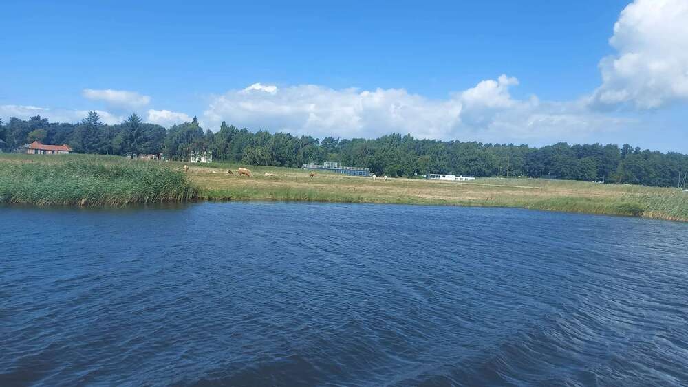 Thumbnail-Haus zum Kaufen in Prerow 590.000,00 € 104 m²