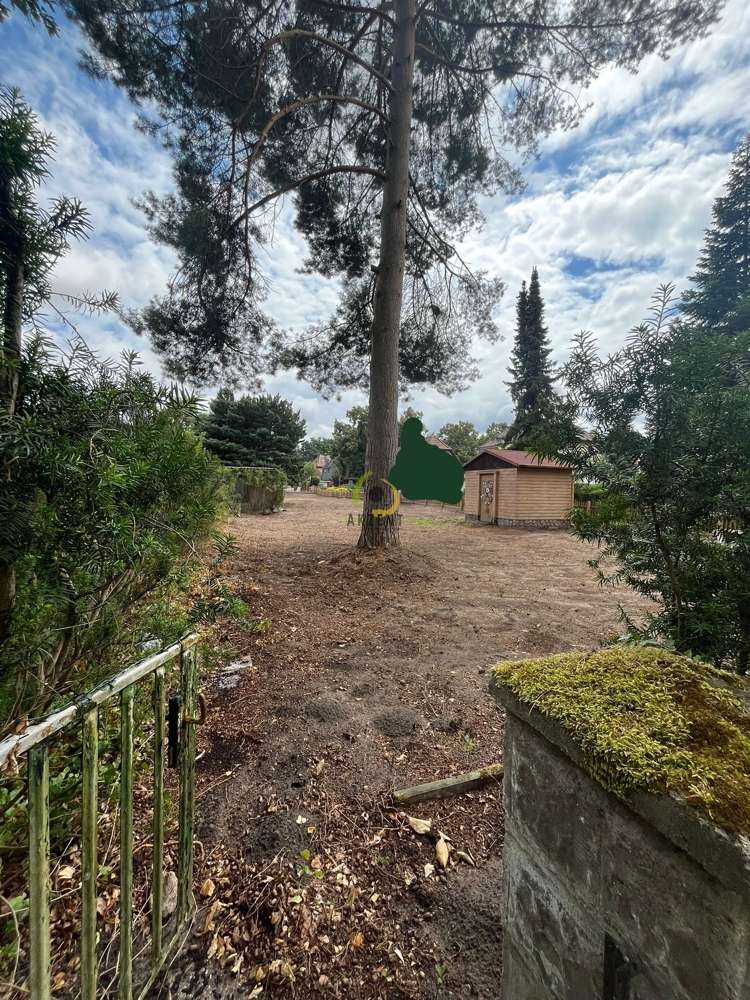 Thumbnail-Grundstück zu verkaufen in Neuenhagen bei Berlin 438.700,00 € 1121 m²