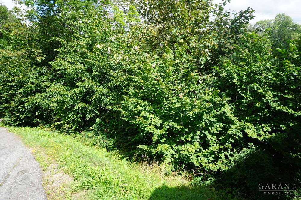 Thumbnail-Grundstück zu verkaufen in Alpirsbach 45.000,00 € 1885 m²