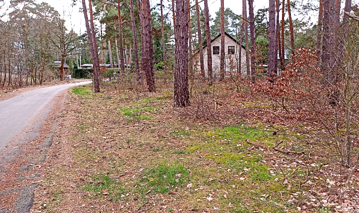 Thumbnail-Grundstück zu verkaufen in Wendisch Rietz 195.000,00 € 1365 m²