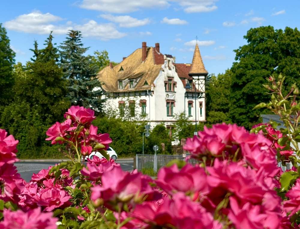 Thumbnail-Haus zum Kaufen in Grimma 630.000,00 € 513 m²