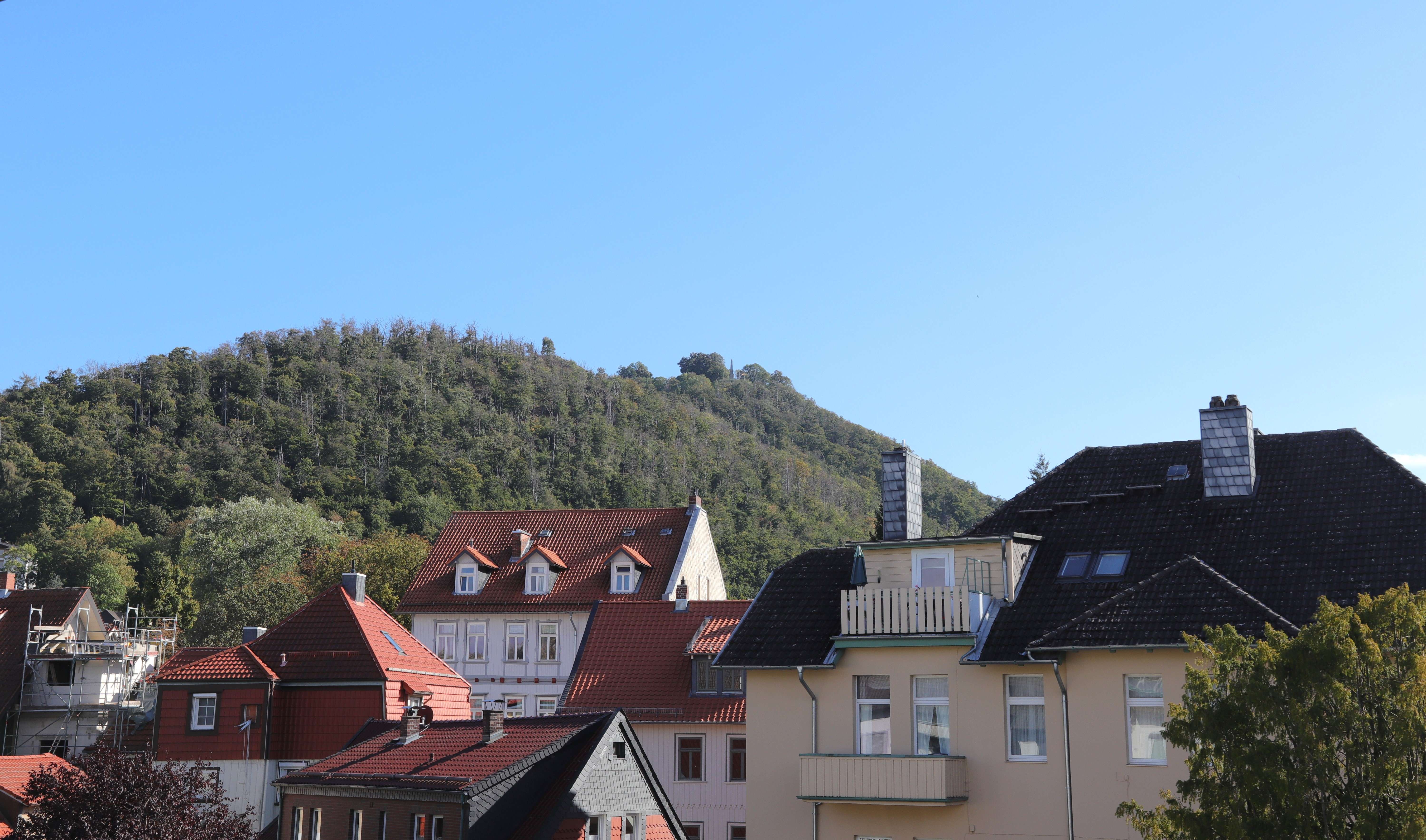 Thumbnail-Wohnung zum Kaufen in Bad Harzburg 125.000,00 € 83 m²