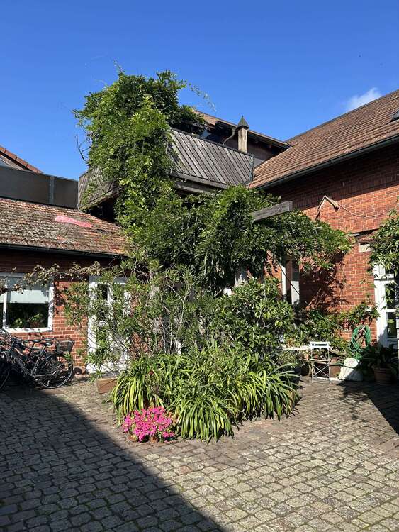 Thumbnail-Wohnung zum Mieten in Steinfeld 950,00 € 120 m²