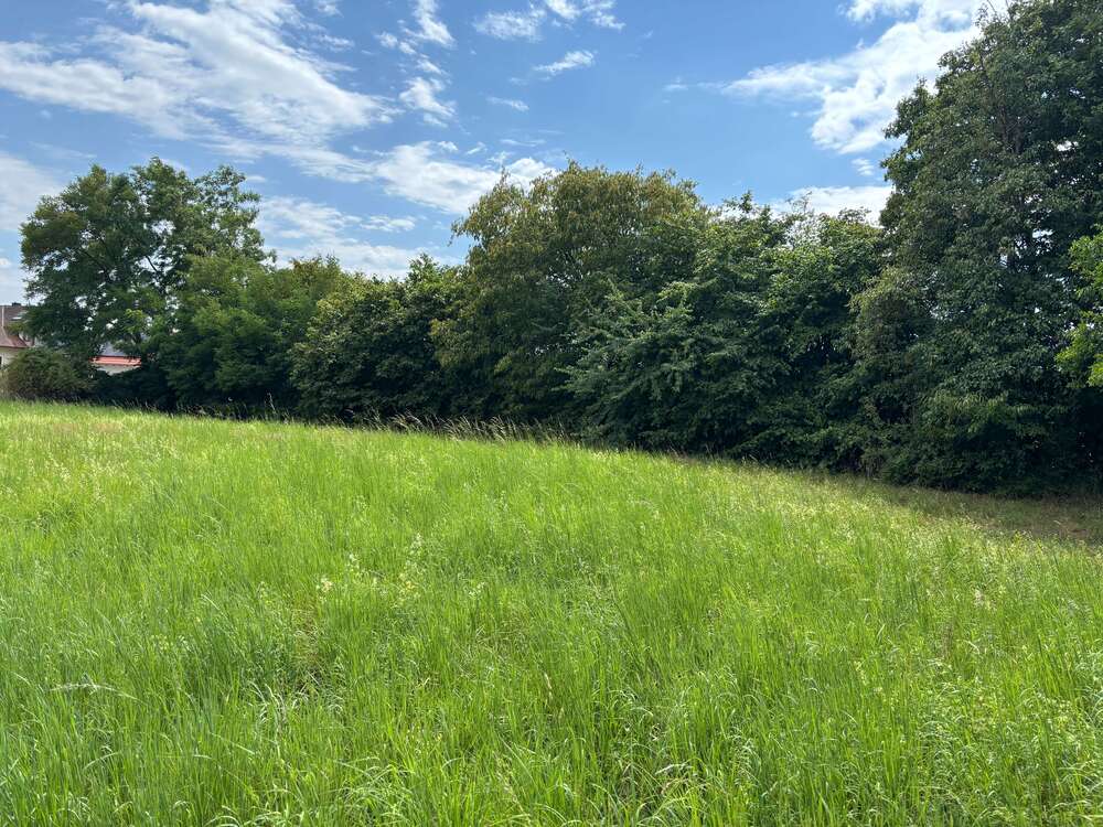 Thumbnail-Grundstück zu verkaufen in Biburg 627.500,00 € 2510 m²