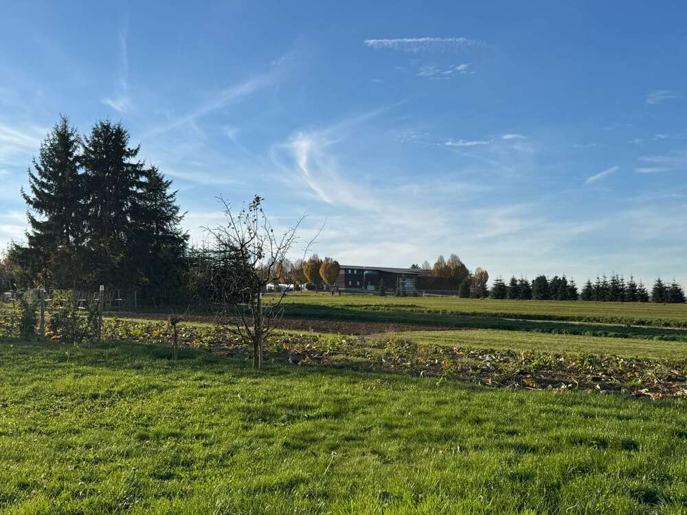 Thumbnail-Haus zum Kaufen in Esslingen am Neckar 649.000,00 € 196 m²