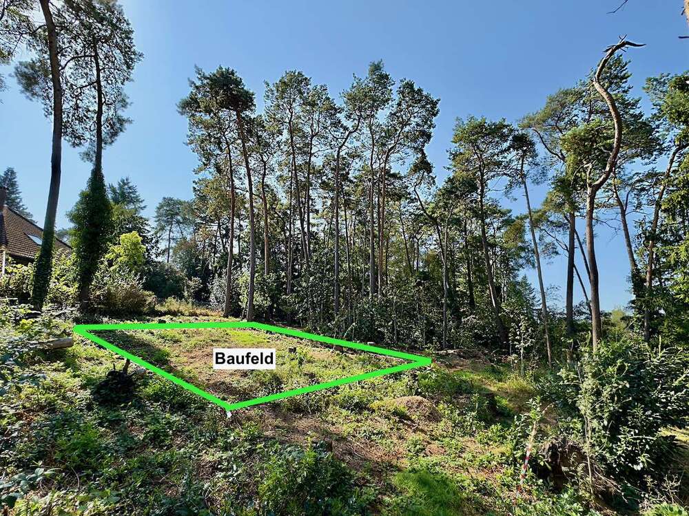 Thumbnail-Grundstück zu verkaufen in Buchholz in der Nordheide 395.000,00 € 1256 m²