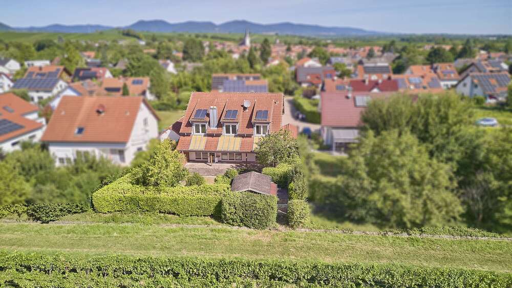 Thumbnail-Haus zum Kaufen in Landau 795.000,00 € 282 m²
