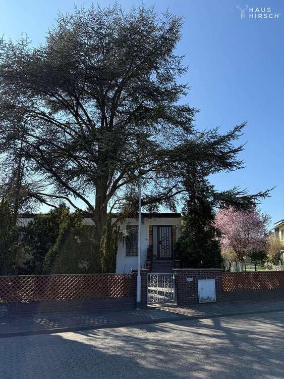 Thumbnail-Haus zum Kaufen in Darmstadt 1.279.000,00 € 240 m²