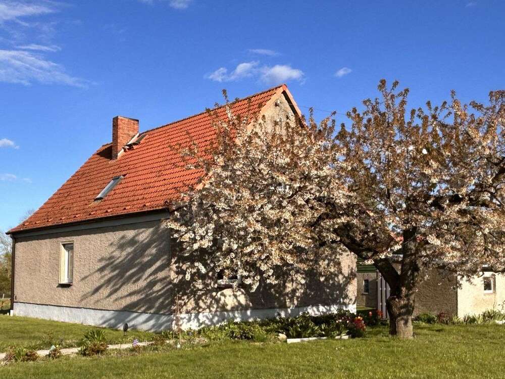 Thumbnail-Haus zum Kaufen in Bredenfelde 98.700,00 € 117 m²