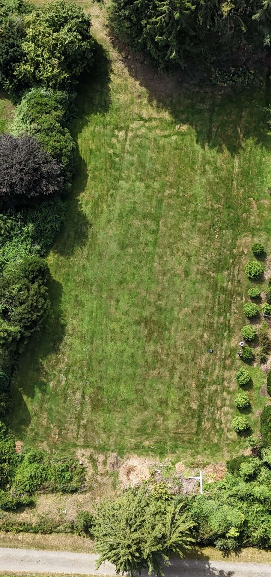Thumbnail-Grundstück zu verkaufen in Edewecht Friedrichsfehn 248.000,00 € 1633 m²