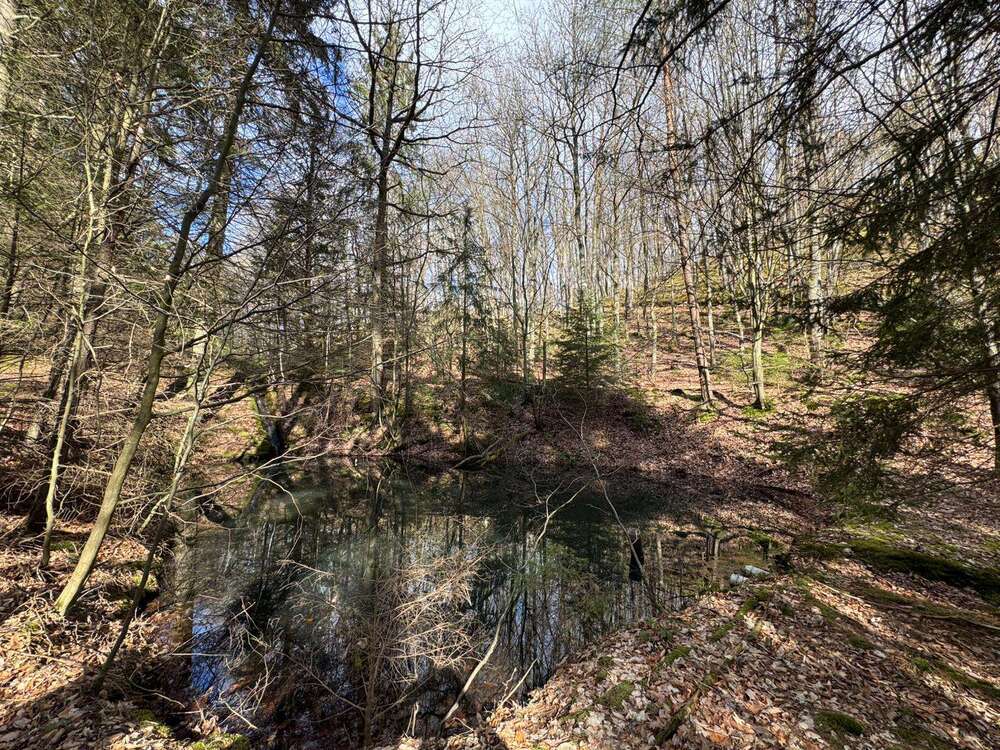 Thumbnail-Grundstück zu verkaufen in Bad Münstereifel 135.000,00 € 14700 m²