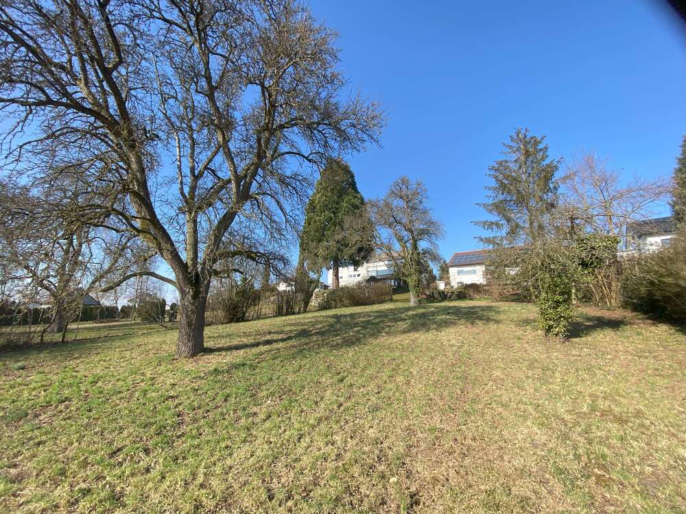 Thumbnail-Grundstück zu verkaufen in Neuenstein 345.300,00 € 1151 m²