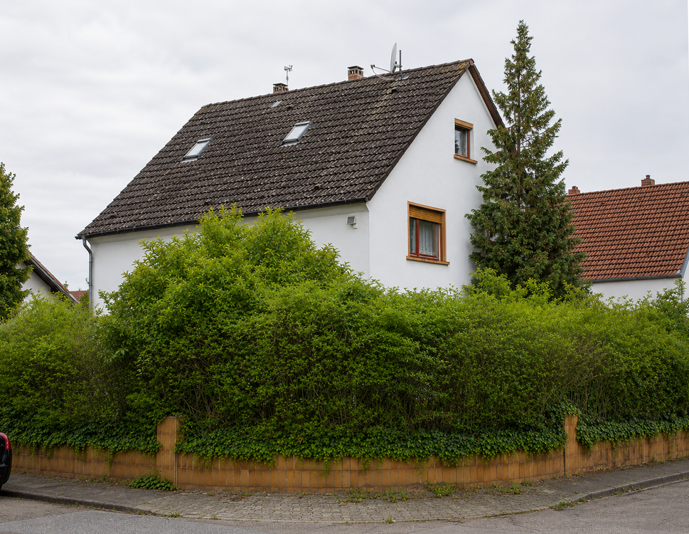 Thumbnail-Haus zum Kaufen in Mannheim-Neuhermsheim 499.000,00 € 170 m²