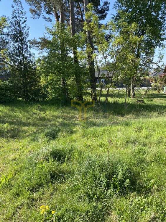 Thumbnail-Grundstück zu verkaufen in StüdeSassenburg 41.000,00 € 410 m²