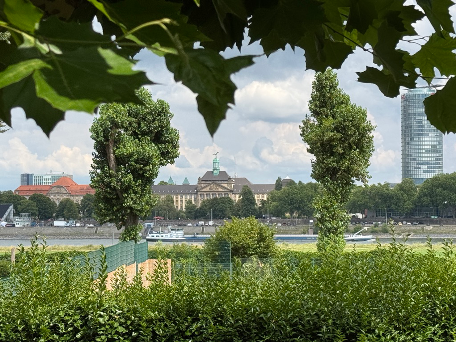 Thumbnail-Haus zum Kaufen in Düsseldorf 5.300.000,00 € 565 m²