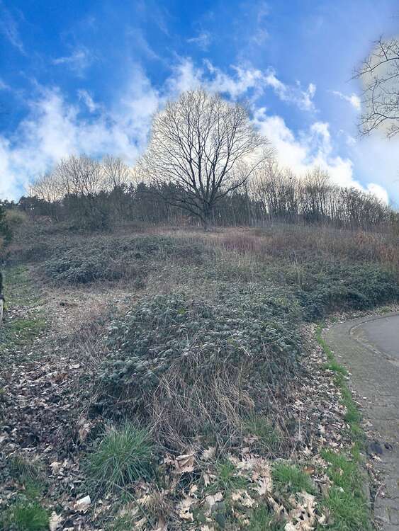 Thumbnail-Grundstück zu verkaufen in Breuberg-Hainstadt 139.000,00 € 1263 m²