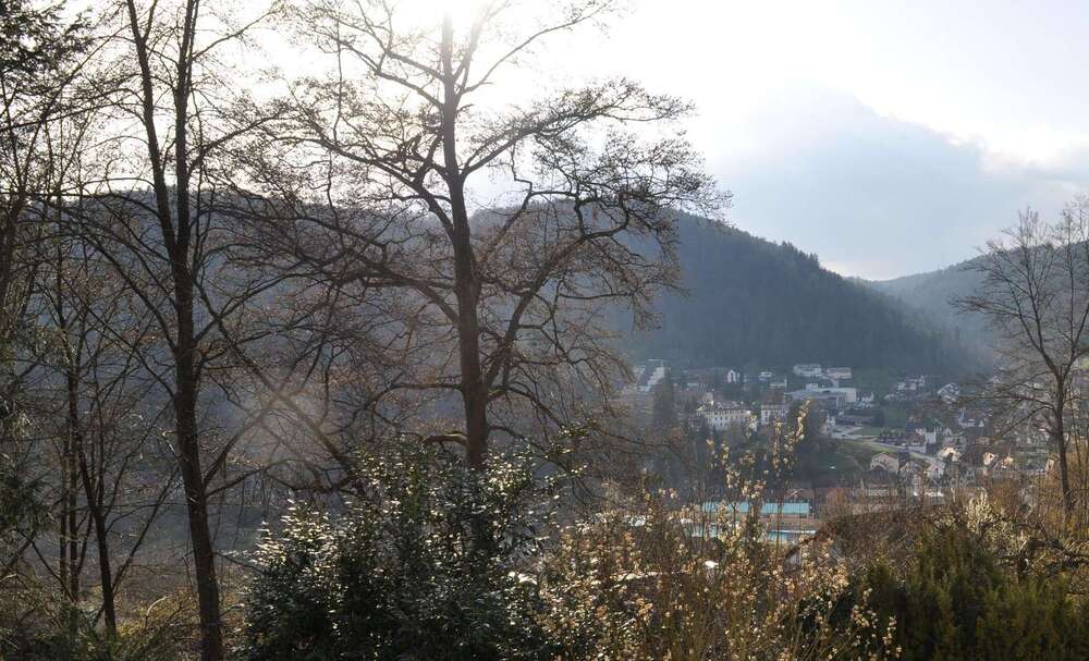 Thumbnail-Haus zum Kaufen in Bad Liebenzell 1.019.000,00 € 653 m²