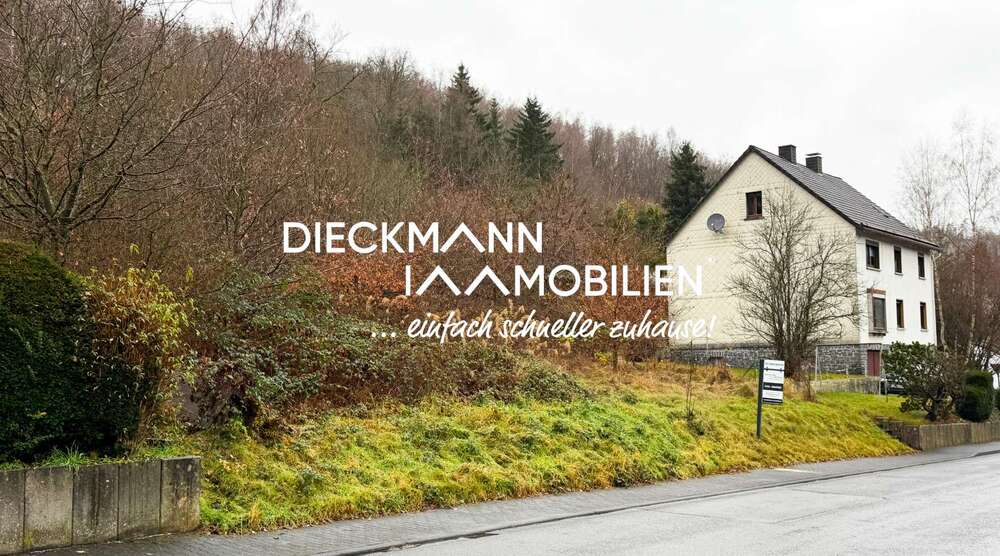 Thumbnail-Grundstück zu verkaufen in Niederdreisbach 38.500,00 € 745 m²