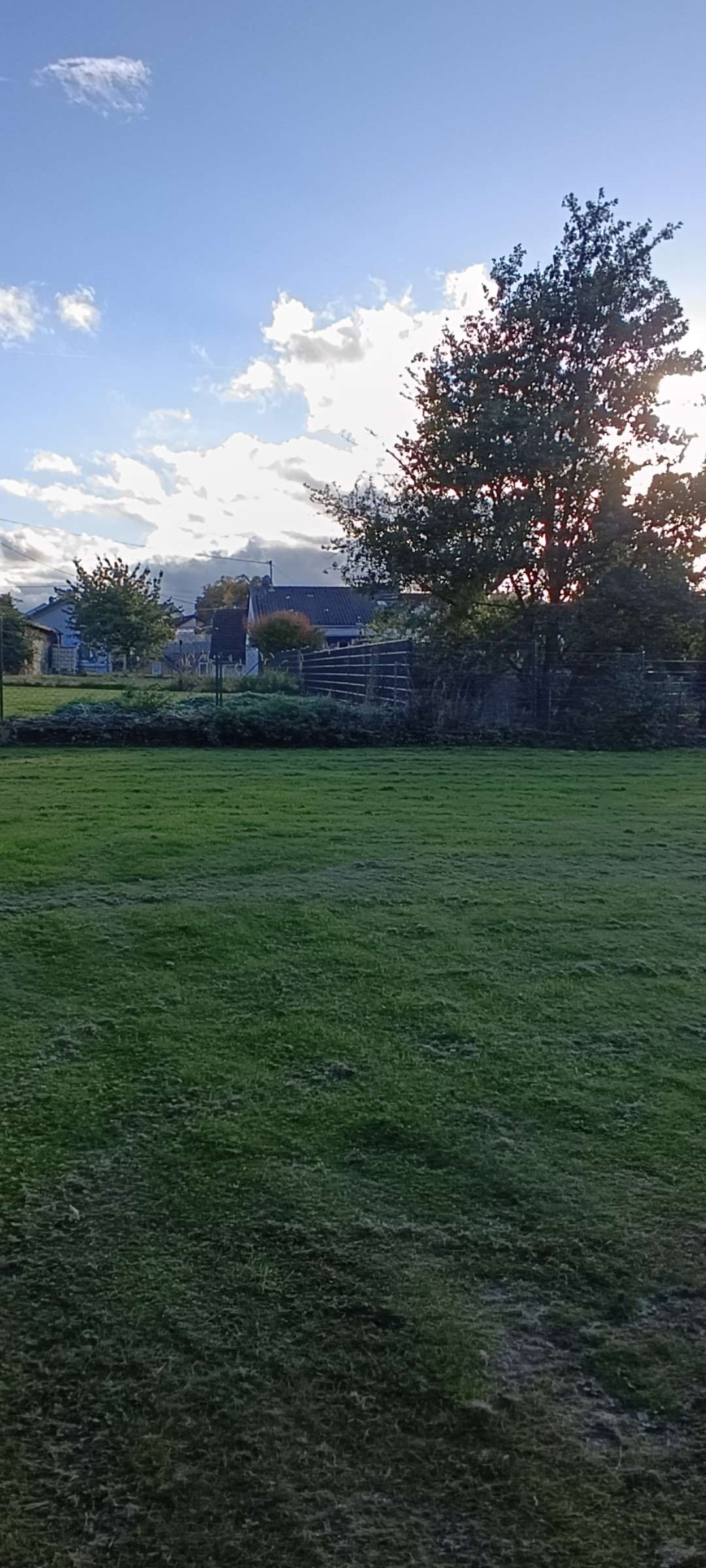 Thumbnail-Grundstück zu verkaufen in Rheinbach - Wormersdorf 448.756,00 € 1457 m²