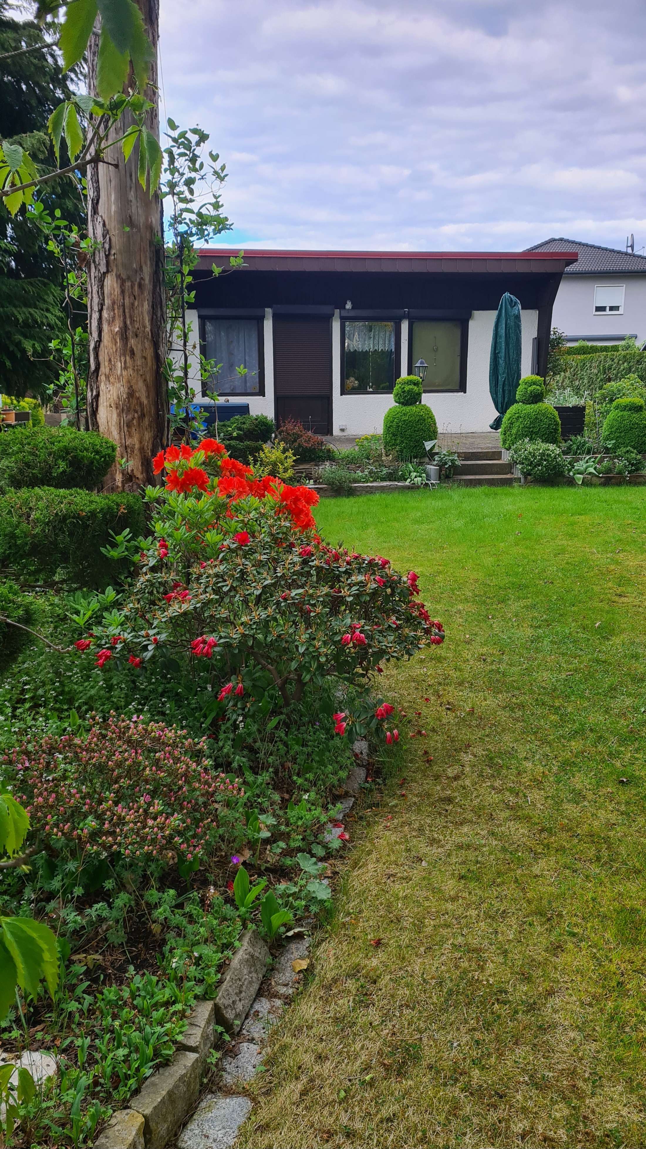 Thumbnail-Grundstück zu verkaufen in Königs Wusterhausen 299.000,00 € 981 m²