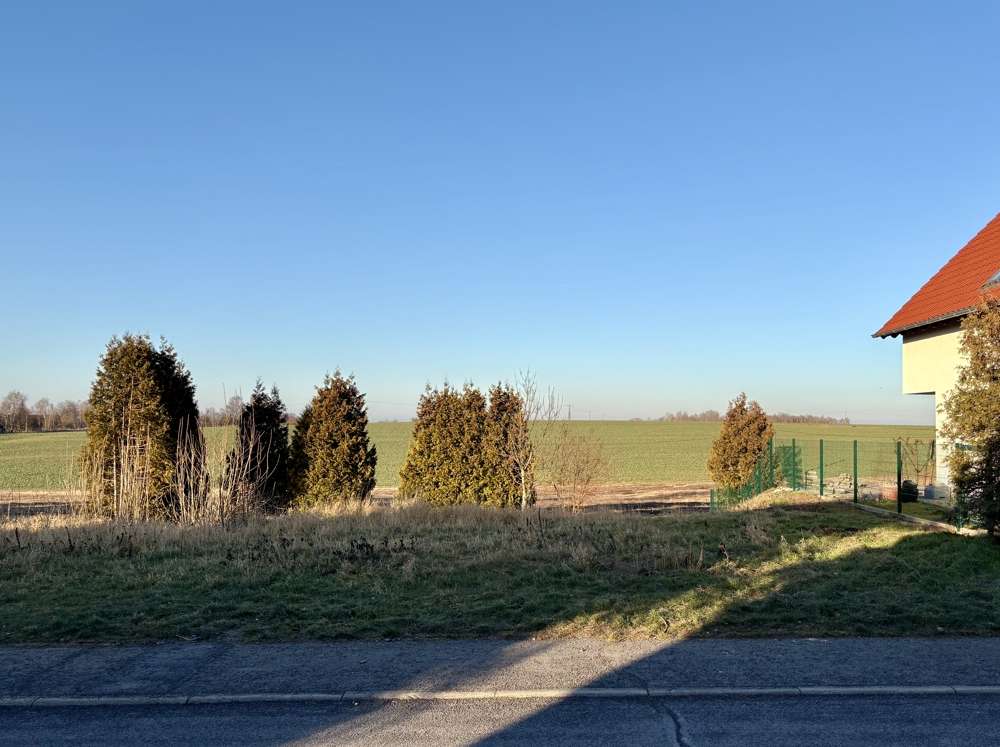 Thumbnail-Grundstück zu verkaufen in Grimma Wetteritz 60.000,00 € 620 m²