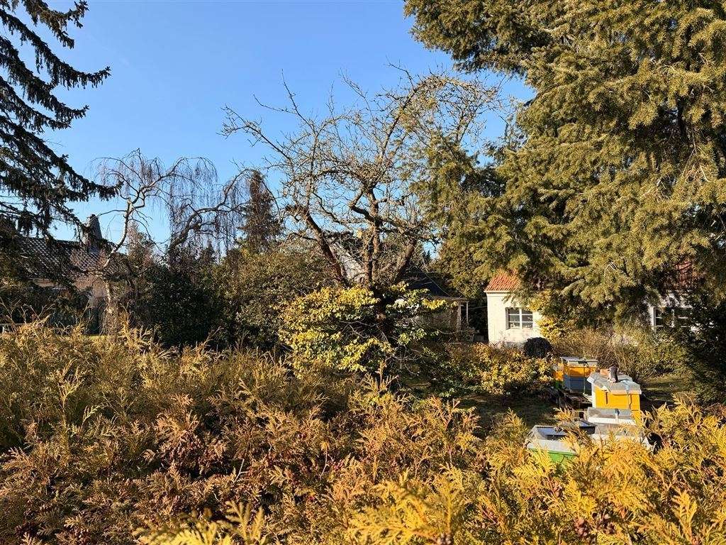 Thumbnail-Grundstück zu verkaufen in Ahrensfelde b Berlin 199.990,00 € 606 m²