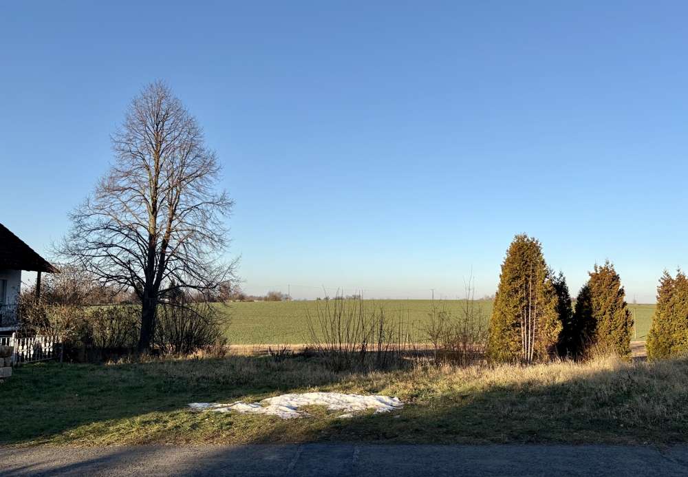 Thumbnail-Grundstück zu verkaufen in Grimma Wetteritz 60.000,00 € 620 m²